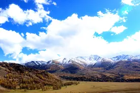 悠然乔木，悠悠我心图片