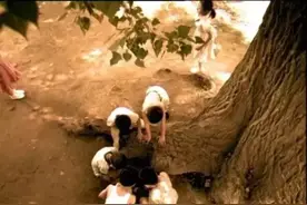 番禺丨这些3DIMAX大片热辣来袭！家门口的免费影院等你来图片