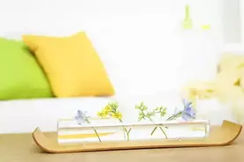 夏季燃气壁挂炉如何保养维护，这些细节你全知道吗？图片