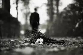 转业了，我依然会在有你的地方陪着你图片