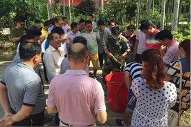 三更罗镇212户槟榔种植户学习黄化病综合防治技术图片