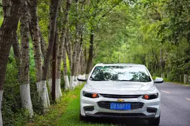 走马观花游金普 山、海、花、田各一色图片