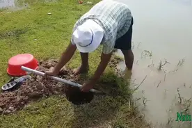 大叔是这样引鱼上钩的，不用买钓鱼杆，你学会了也能抓到这么多鱼