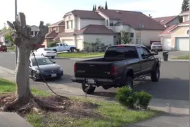 如何快速挖树根？司机想出一招，瞬间解决问题！图片