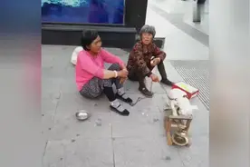心酸，2个老人街头无所事事，借狗狗行乞！图片