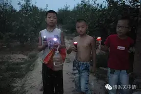 咸阳娃，快回家逮知了了！图片