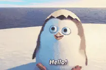 HELLO！海底世界~~~来看看河北的那些海洋馆图片