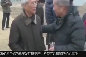 村民修路意外挖出唐代古墓，墓中发现千年大蛇！视频封面