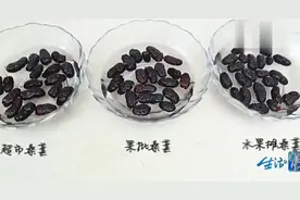 桑葚泡水居然泡出这类小虫子！被误食会不会影响康健？！