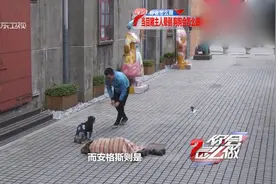 实拍：主人散步突然晕倒，身边的狗狗会作何反应呢？视频封面