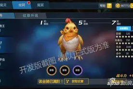 剑与魔法坐骑开启纹章镶嵌 满阶坐骑的培养新法则图片