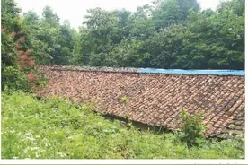 历史丨抗战时期浙江首家水泥厂建立在江山市清湖镇图片