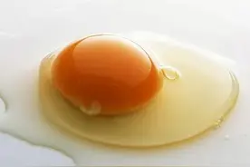 蛋黄不黄是咋回事图片