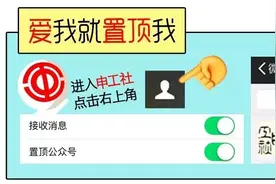 办公室来了“新同事”，是喜还是忧？图片