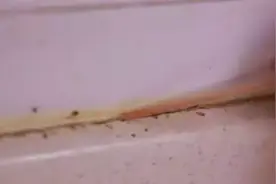 非常实用的瓷砖清洁方法，速记！金玉王朝瓷砖图片