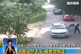 动物园命案反思：这样停/下车很危险图片