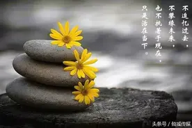 如何面对人生的阴差阳错？看看这个故事就懂了图片