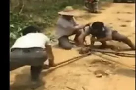 大叔勇战毒蛇过山峰！图片