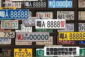 补领牌照？五分钟搞定图片