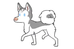 哈士奇为什么这么二？图片