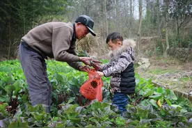 孩子寒暑假回老家生活一段时间，对他们的好处有哪些图片