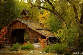 [旅行英语-吃饭篇] 致敬边说边走的旅行图片