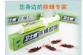如何放蟑螂药？图片