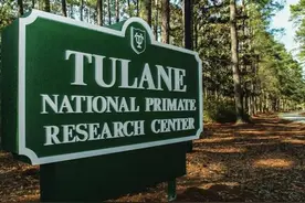 2016年金融硕士全球排名图片