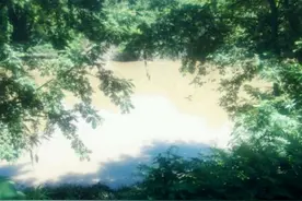 野外钓鱼被洋辣子蛰了，怎么处理好的快图片