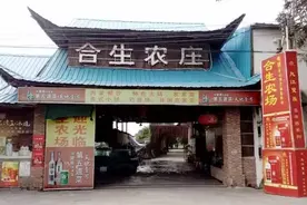 南沙美食推荐，榄核藏着一家生态农庄！美食就吃无公害！图片