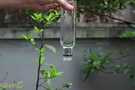 [反重力实验] 满瓶水不盖盖子，翻过来后水不会流出来，你信吗图片