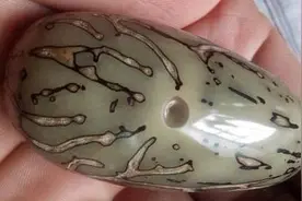 圈里的几大垃圾假货菩提 说垃圾都不为过图片