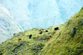 高州石龙六府顶 怪石嶙峋十分壮美图片