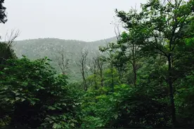 徐州周边竟有深山老林，避暑胜地，开车1小时内到达，还有美食！图片