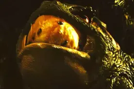 巨型青蛙吃吐了，看着粘稠的液体，浑身鸡皮疙瘩，太恶心了