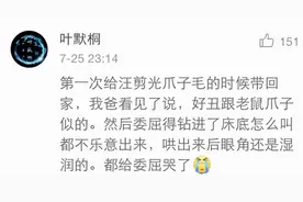 二货铲屎官们随便嘲笑主子长得丑？哎哟~这报复别来得太快了！图片
