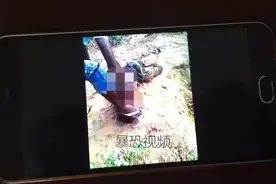 [网警通报]保定一网民在百度贴吧观看、分享暴恐视频被拘十二天图片