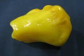 蜜蜡造假鉴别图片