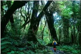 涨姿势丨如何对付户外吸血鬼？图片