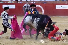 西班牙斗牛士被公牛刺死图片
