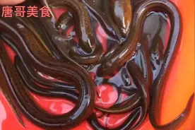 野生甲鱼100元一斤野生黄鳝35元一斤定远土话您能听懂吗