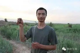 福利一根铁丝的旅行（附实战教程）图片