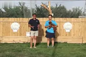 如何训练狗狗的倒立？