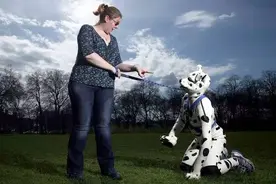 奇pa男孩“爱狗装成魔” ，女友无奈与其分手图片