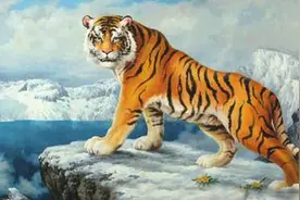 非常有领导能力！一定能当大官的3大生肖图片