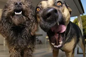 今日精选段子：看你的面相，应该挺有钱的吧？图片