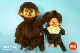 40 年专注含手指的蒙奇奇其实是个猴子图片