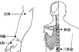 咳嗽老不好，且看中医如何辨证施药保疗效图片