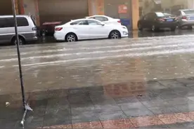 东莞市长安镇沙头社区你们好，我一直交车船税，今天总算让我知道视频封面