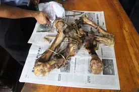 男子用水牛骨冒充“虎骨”骗钱 还没出手就被捕图片